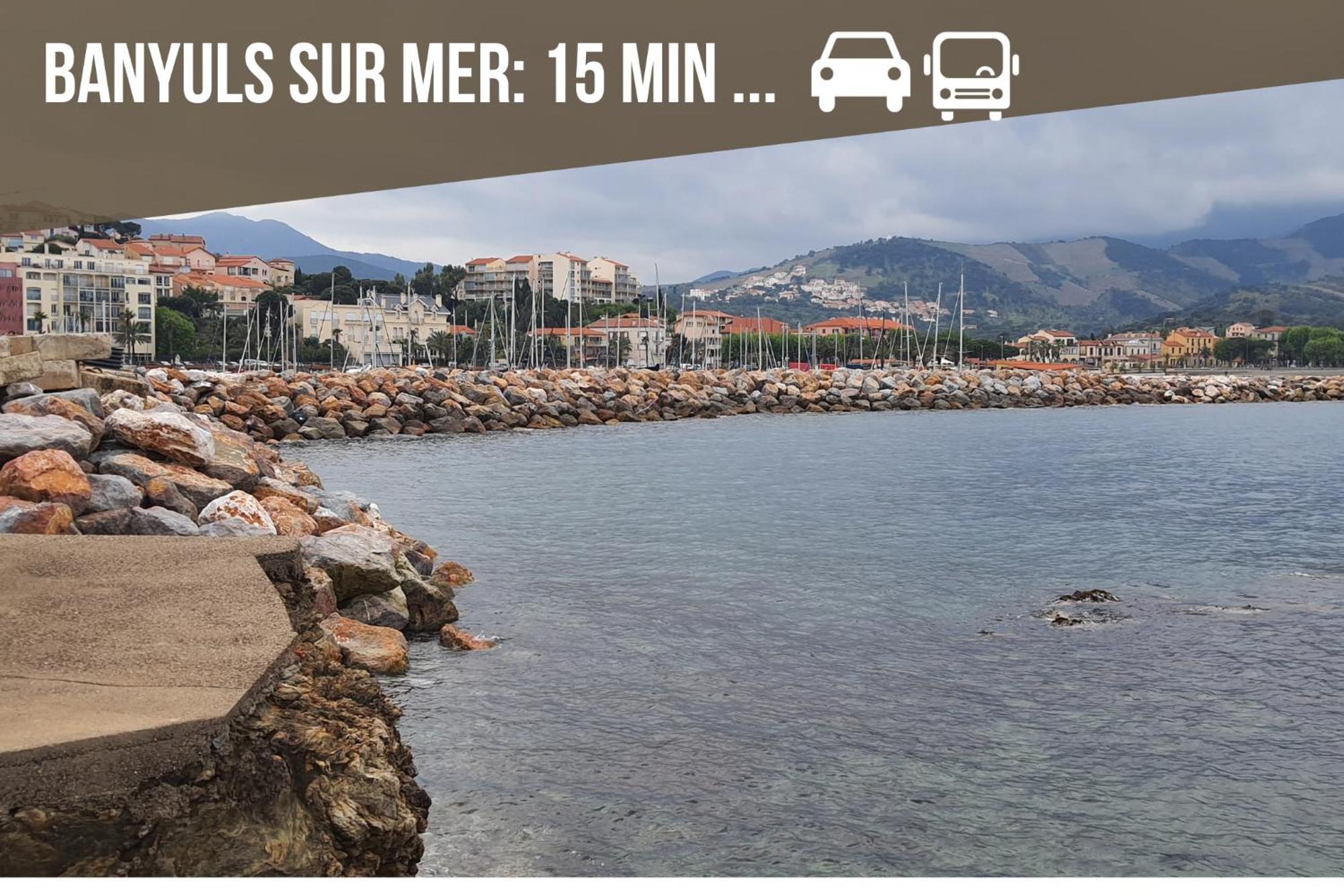 Le Belveze, Emplacement Central Et Calme Порт Вендрес Екстериор снимка